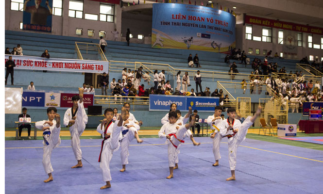 61 đoàn tham gia Liên hoan Võ thuật lần thứ nhất năm 2020