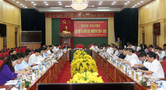 Thảo luận, cho ý kiến và quyết định nhiều nội dung quan trọng