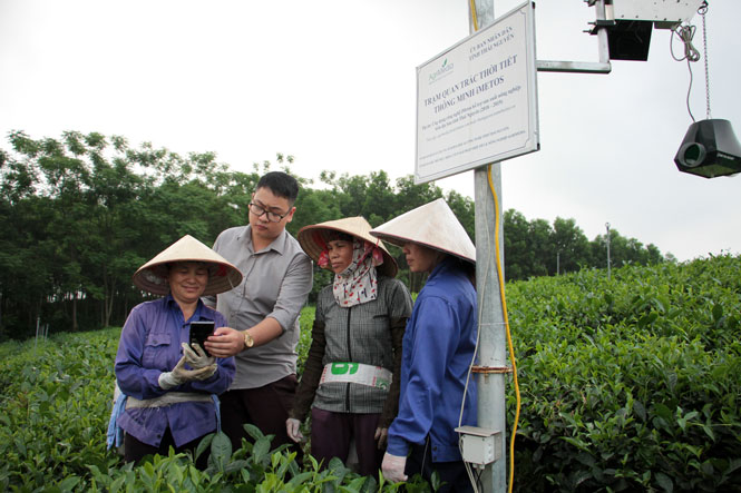 Thuê bao điện thoại di động đạt tỷ lệ 100/100 dân