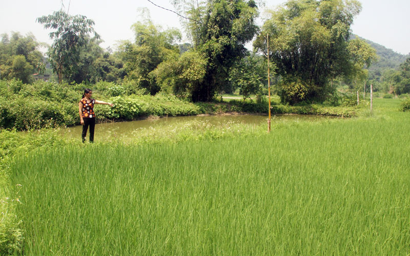 Trao "cần câu" tạo sinh kế cho hộ nghèo