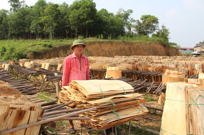 Định Hóa: Giải quyết việc làm mới cho gần 1.000 lao động địa phương