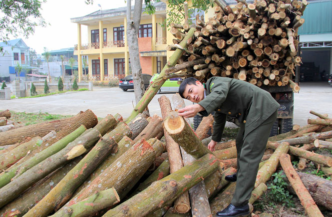 Định Hóa: Phát hiện, xử lý 77 vụ vi phạm Luật Bảo vệ và Phát triển rừng
