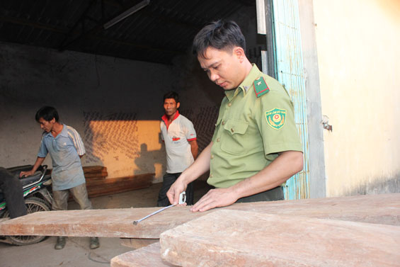 Thu giữ gỗ không rõ nguồn gốc, xuất xứ