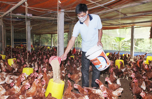 Ma túy vẫn chưa hết "nóng"