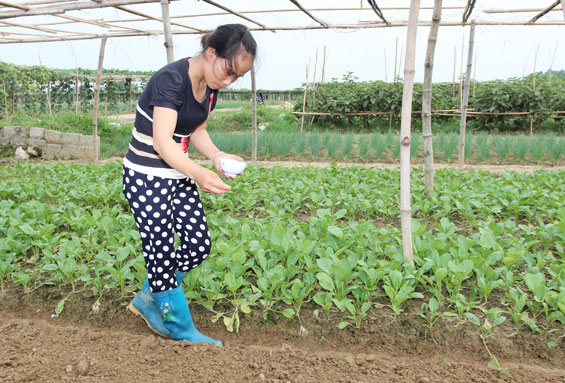 Kinh nghiệm từ các xã hoàn thành chương trình