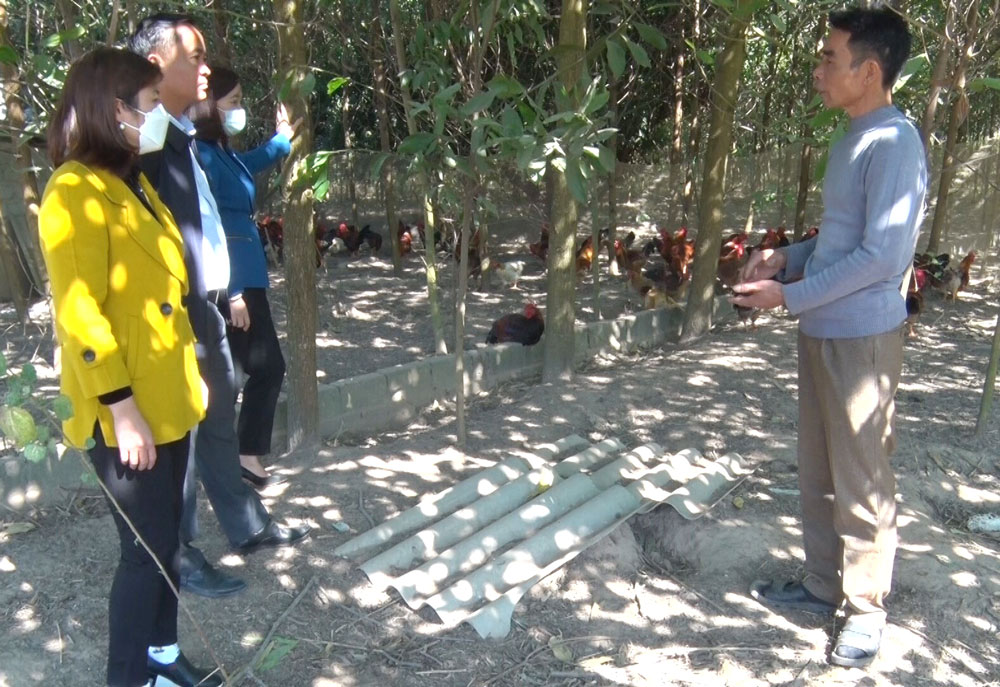 Chú trọng công tác phòng dịch trên đàn vật nuôi