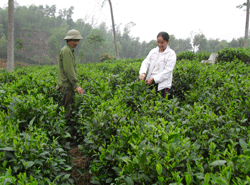 Vững mạnh từ phong trào thi đua