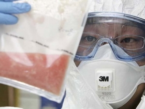 Có thêm phát hiện mới về virus cúm A/H1N1