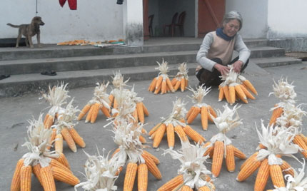 Xóm nghèo trong thành phố