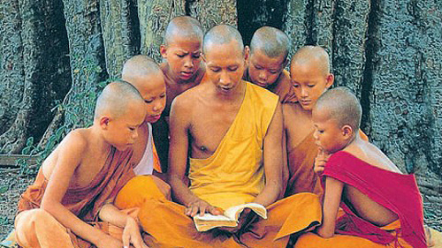 Hơn 70 nhà sư nhập viện vì… ong tấn công