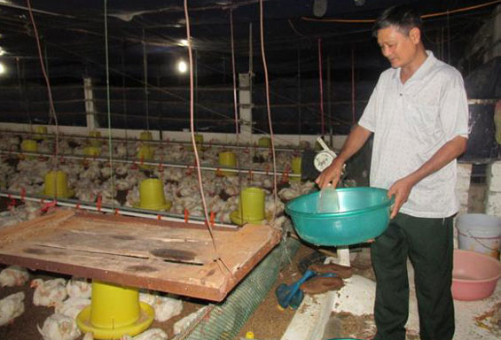 Cựu chiến binh làm kinh tế giỏi 