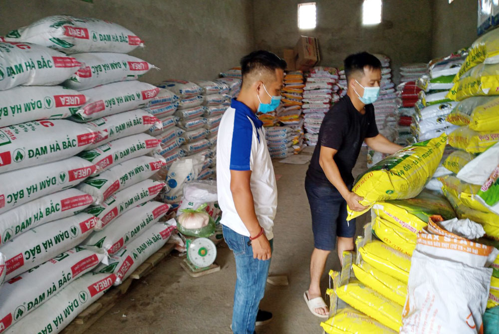 Giá phân bón tăng, nông dân thêm khó