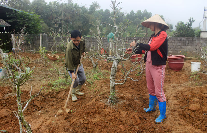 Tiếp sức cho nông dân phát triển kinh tế