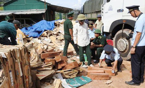 Giấu gỗ quý trong giấy phế liệu nhập khẩu