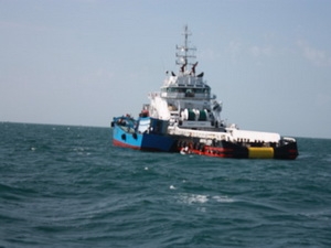 Phát hiện mua bán 10.000 lít dầu không nguồn gốc