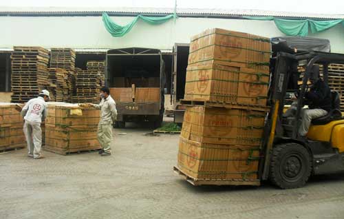 Công ty cổ phần Prime Phổ Yên: Doanh thu đạt trên 534 tỷ đồng