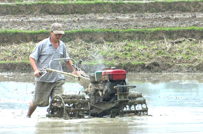 Khẩn trương xuống đồng chuẩn bị sản xuất vụ xuân