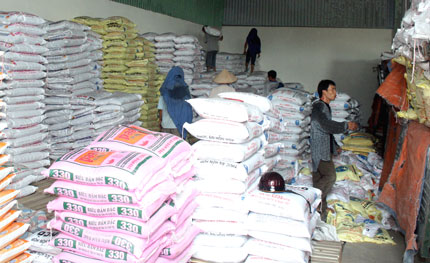 Mức lưu chuyển hàng hóa và doanh thu dịch vụ tăng 21%