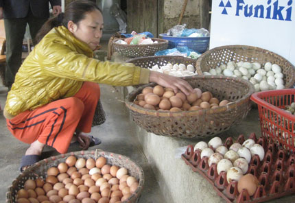 Sự nghiệp từ đôi tay mình