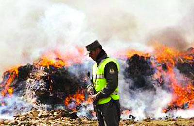 Ápganixtan: Thiêu hủy 16 tấn chất gây nghiện