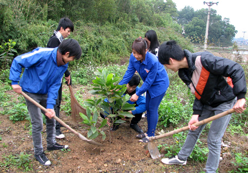 Trồng cây để tưởng nhớ Bác và bảo vệ môi trường