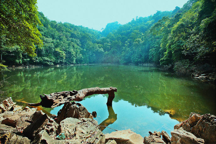 Tăng cường kiểm tra các hoạt động văn hoá