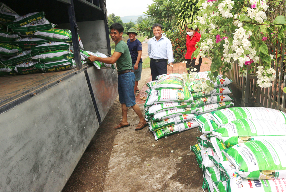 Hỗ trợ vật tư cho 6 đơn vị sản xuất chè hữu cơ