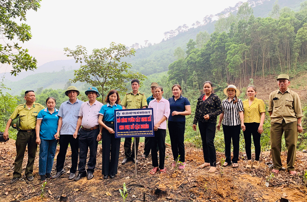 Hỗ trợ vườn cây sinh kế cho phụ nữ có hoàn cảnh khó khăn