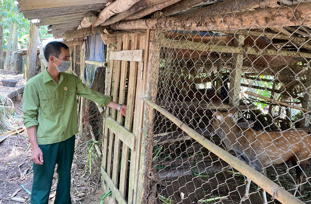 Góp vốn xoay vòng giúp cựu chiến binh vươn lên