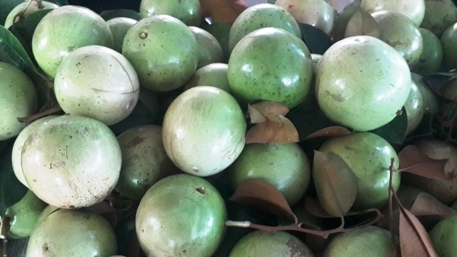 Kim ngạch xuất khẩu nông lâm thủy sản 5 tháng đầu năm ước đạt gần 23 tỷ USD