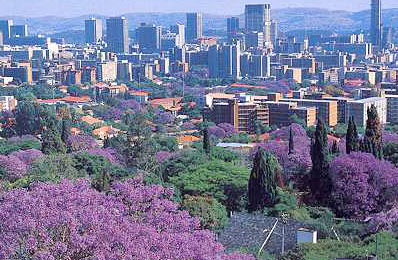 44 tỷ đồng cho xúc tiến thương mại