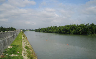 Môi trường và những vấn đề đang đặt ra