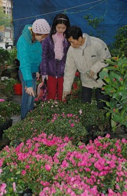 Sôi động chợ Tết