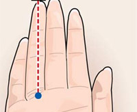 Đoán tính cách qua ngón tay