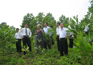 Nhà đầu tư Nhật Bản- Trung Quốc  thăm và làm việc tại huyện Phổ Yên