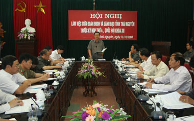 Đoàn Đại biểu Quốc hội làm việc với lãnh đạo tỉnh 