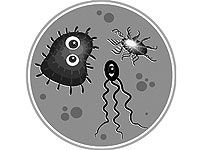 MRSA nguy hiểm hơn HIV