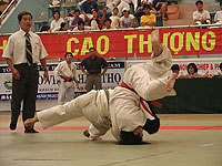 Chấn thương ám ảnh các võ sĩ