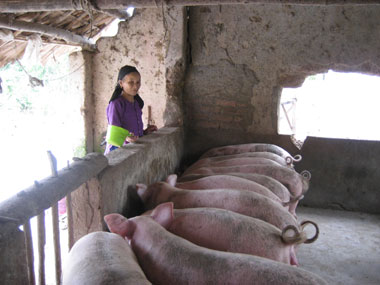 Dư nợ của các ngân hàng trên địa bàn tăng cao so với cùng kỳ