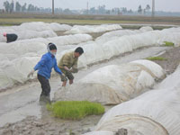 Không để dân đói, dịch bệnh bùng phát