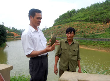 Một mô hình nuôi ba ba