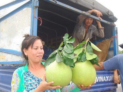 Vị đắng bưởi Năm Roi 