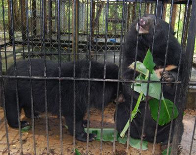 Việt Nam-Hoa Kỳ hợp tác nghiên cứu biến đổi khí hậu 