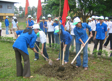 Thực tiễn sống động