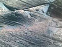 Sao Hỏa quá mặn để duy trì sự sống