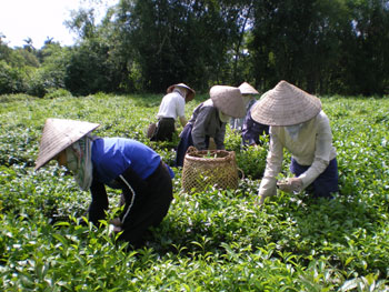 Thái Nguyên: Giá trị xuất khẩu tăng 2,2%