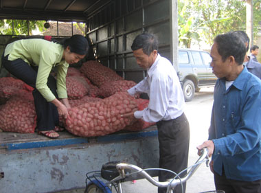 Hỗ trợ nông dân ổn định sản xuất