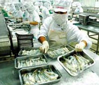 Thêm 10 DN được phép xuất khẩu thủy sản sang Nga