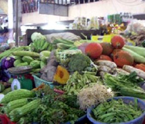 Báo động vi phạm sử dụng thuốc bảo vệ thực vật