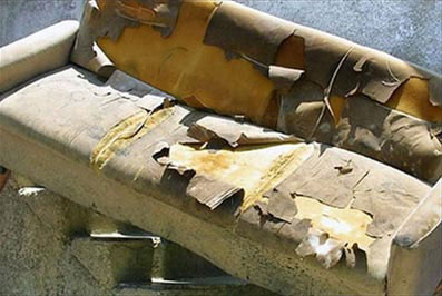 Phát hiện tranh quý trong ghế sofa